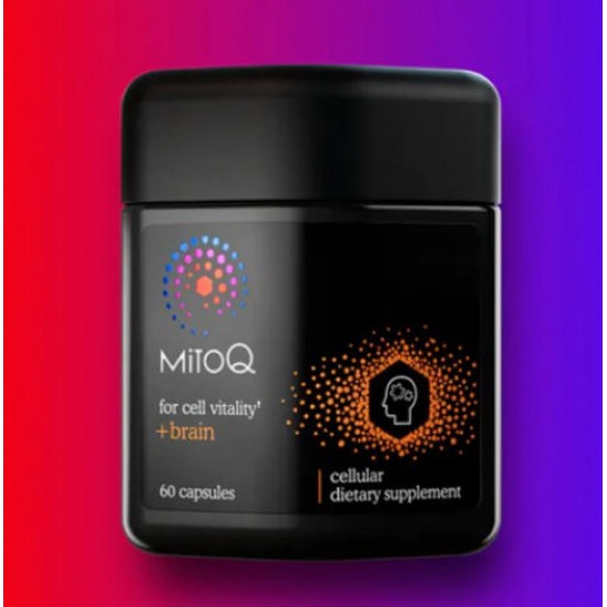 MitoQ 锐智brain 健脑胶囊 改善注意力 记忆力 舒缓压力 60粒